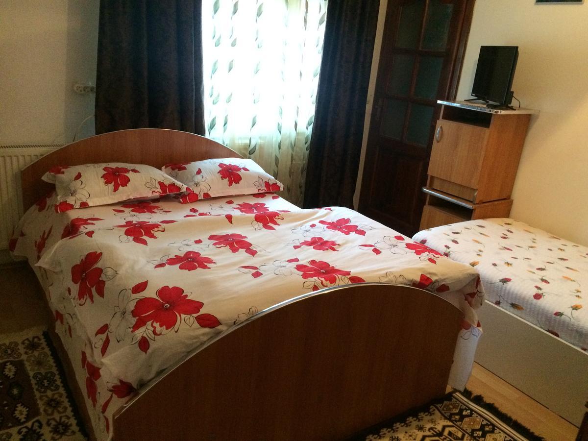 Casa Ionela Petreus Hotel โปเยนิเลซี ภายนอก รูปภาพ